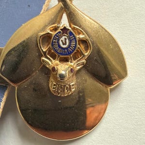 May include: A gold-toned metal pin featuring two crossed oars behind a central emblem. The emblem displays a deer head with red eyes, a blue circular border with white text, a small red star at the top, and the letters BPOE embossed below the deer.