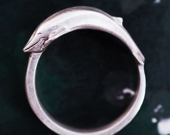 May include: A silver ring shaped like a dolphin, with the dolphin's tail curled around to form the ring's band.