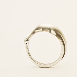 May include: A silver ring shaped like a dolphin, with the dolphin's tail curled around the band.