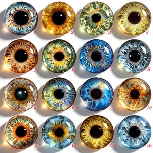 May include: A collection of twenty-four circular glass cabochons featuring realistic human eye iris designs in various colors including blue, brown, green, and gray. Each cabochon has a black pupil and is numbered from 1 to 24 in red text.