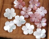 2pcs 15mm Mother of Pearl Shell Flower Beads,Natural Mother Of Pearl Beads, MOP Carved Flower Beads,Shell Flower 5 Petals,Jewelry Making,160