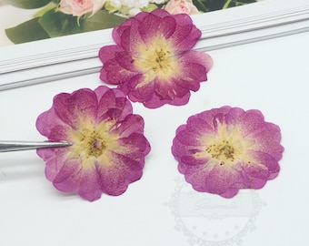 Purple Pressed Flowers: Real Dried Petals, Dried Flat Flowers (8 pcs)