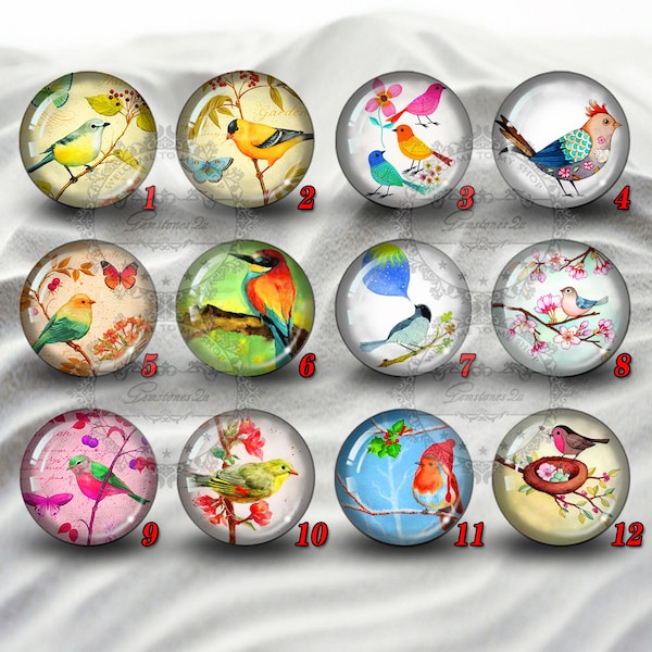 Bird cabochons,Glass Photo Cabochon,handmade cabochons,glass cabochons,round cabochons,illustration cabochons,Handmade Dome cab cabochons