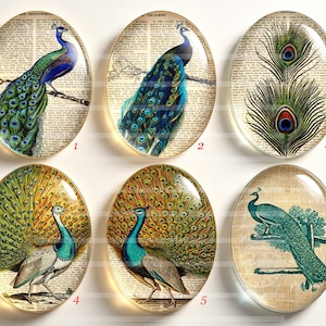 Op de afbeelding: Zes ovale glazen cabochons met vintage-stijl illustraties van pauwen en pauwenveren over bedrukte teksten. Elk stuk toont een unieke vogelhouding of verenarrangement met levendige blauwe, groene en gouden tinten in een glanzende afwerking.