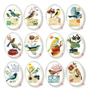 Op de afbeelding: Een set van twaalf ovale glazen cabochons met kleurrijke illustraties van diverse vogels, bloemen, paddenstoelen en postzegels in vintage-stijl. Elk stuk is genummerd van één tot twaalf en toont gedetailleerde natuurafbeeldingen.