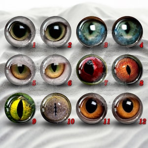 May include: Twelve different glass eyes with various colors and patterns, including green, blue, red, brown, and yellow. The eyes are round and have a realistic appearance.