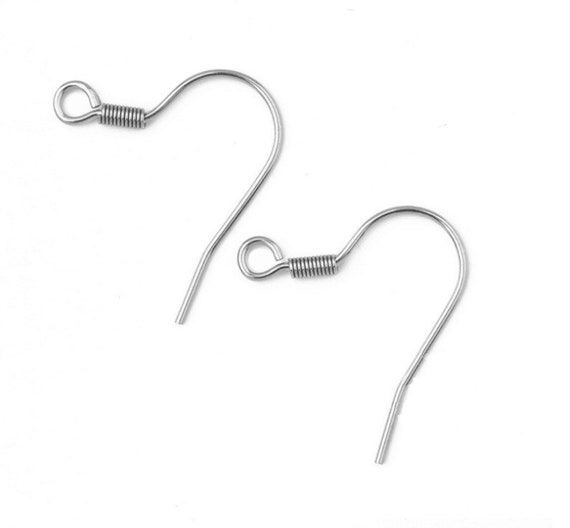 100pcs 17x20mm Stainless Steel Ear Wire Earring Hooks, Wholesale Earrings  Hypo-Allergenic Earrings, Ear Wires DIY Jewelry Finding