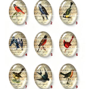 May include: Nine oval glass cabochons featuring vintage-style illustrations of various birds perched on branches against a background of antique musical sheet notation. Each cabochon is numbered from one to nine, showcasing different bird species.