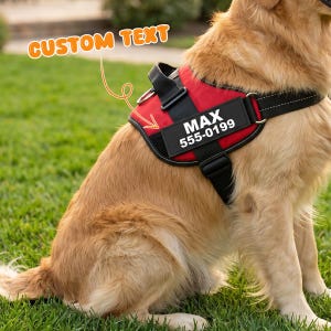 May include: A red and black dog harness featuring a rectangular black patch with the white text MAX 555-0199. The harness includes adjustable black straps, a metal D-ring, and a handle on the top section, worn by a golden-coloured dog.