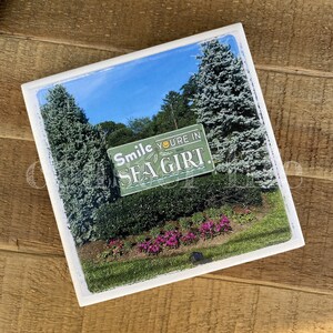 May include: Square wooden sign with a scenic image of a roadside sign that reads "Smile You're in Sea Girt." The sign is surrounded by trees, bushes, and flowers, with a blue sky in the background.