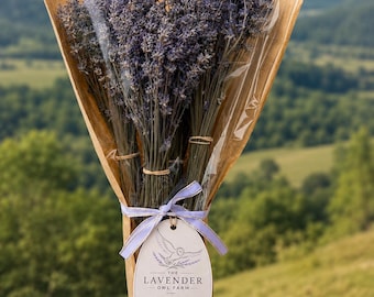 Dried Lavender Vera Bunch – Hand-Harvested Pennsylvania Farm Decor