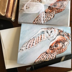 Barn Owl blank notecards. Set of 8.