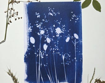 Puede incluir: Una impresión cianotipo rectangular con un fondo azul profundo y siluetas blancas de varias flores silvestres y hierbas. La obra muestra delicados tallos botánicos y cabezas de semillas dispuestas en una composición vertical con bordes de pincel.