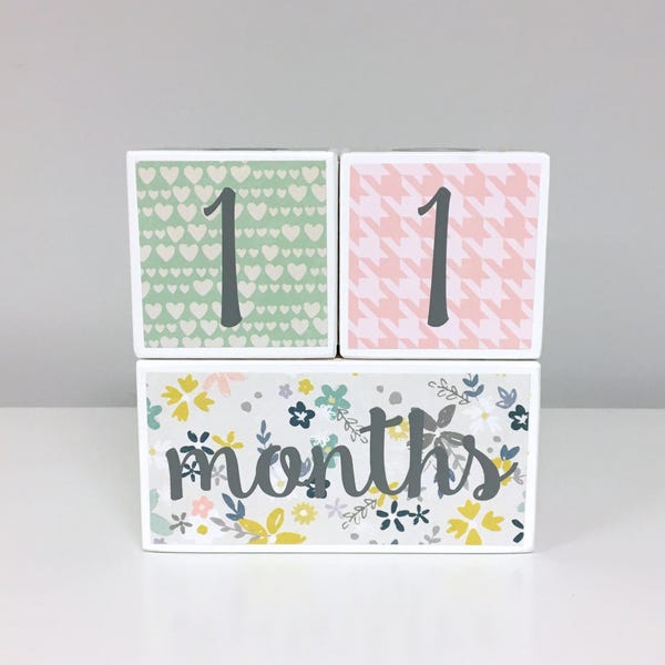 Milestone Blocks - Baby Girl - Floral Hearts Pink Mint Gray
