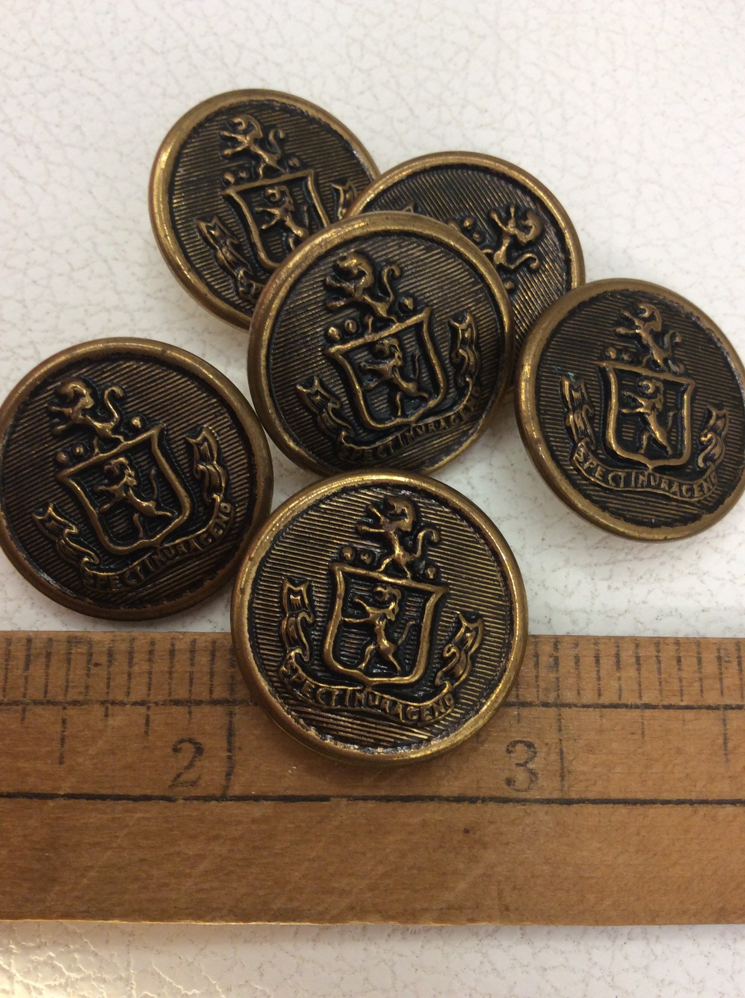 Set of 2 Lion Blazer Shank Button - Antique Brass – Bolt & Spool
