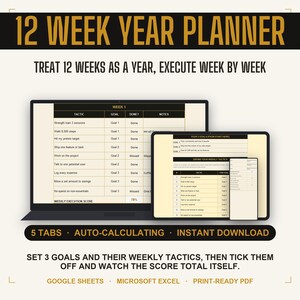 12 Week Year Planner Google Sheets and Excel, 90 Day Goal Planner, Quarterly Goal Tracker, Weekly Execution Plan, Productivity Spreadsheet