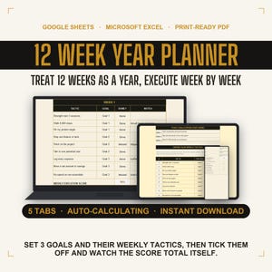 12 Week Year Planner Google Sheets and Excel, 90 Day Goal Planner, Quarterly Goal Tracker, Weekly Execution Plan, Productivity Spreadsheet