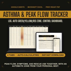 Asthma Peak Flow Tracker | Daily Green Yellow Red Zone and Symptom Log | Google Sheets Excel Printable PDF, Asthma Diary | Instant Download