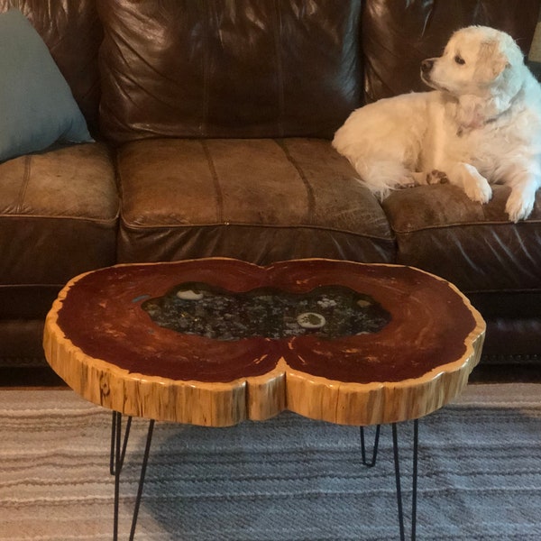 Live Edge Coffee Table with Epoxy Koi Pond & Hairpin Legs--FREE SHIPPING!!!!