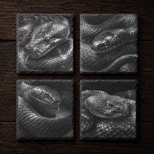 May include: A set of four square slate coasters, each featuring a detailed monochromatic illustration of a different snake. The dark gray stone surfaces display textured edges and realistic depictions of coiled serpents with visible scales and eyes.