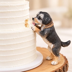 May include: A small figurine of a black, tan, and white dog standing on its hind legs to eat a piece of a multi-tiered white frosted cake. The dog has a textured coat, a pink tongue extended, and is positioned against the side of the cake.