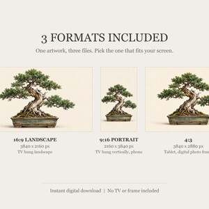 Bonsai Tree Gallery Study Frame TV Art, Japanese Wall Art, 4K Digital Download, 3 Formats image 2