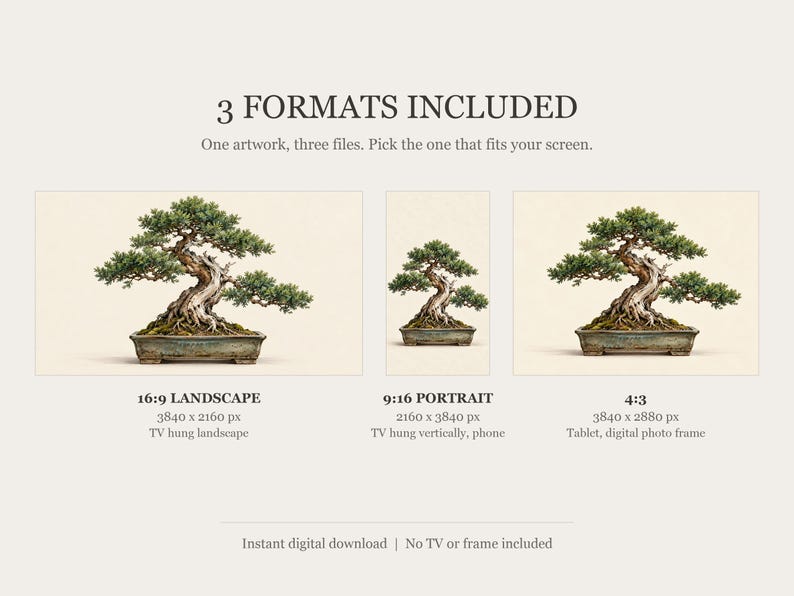 Bonsai Tree Gallery Study Frame TV Art, Japanese Wall Art, 4K Digital Download, 3 Formats image 2