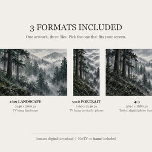 Moody Cedar Forest in Rain Frame TV Art, Japanese Wall Decor, 4K Digital Download (3 Formats) image 2