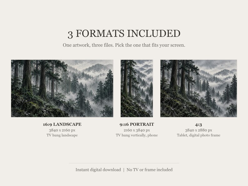 Moody Cedar Forest in Rain Frame TV Art, Japanese Wall Decor, 4K Digital Download (3 Formats) image 2