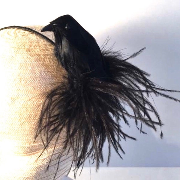 Fascinators- Crow- Raven Bird Headband- Bird lover