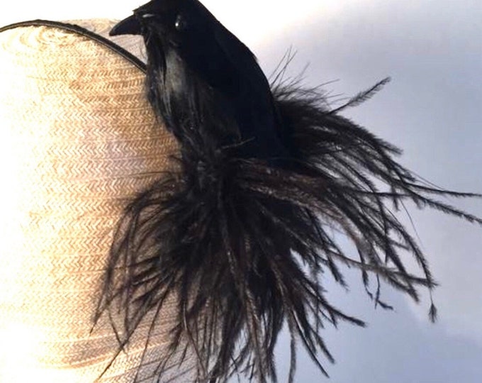 Fascinators- Crow- Raven Bird Headband- Bird lover