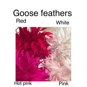 May include: Goose feathers in four colours: red, hot pink, pink, and white. The feathers are arranged in a cluster, with the red feathers in the centre and the other colours surrounding them.