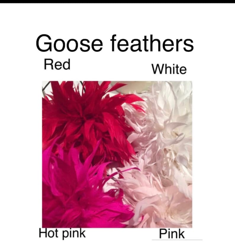 May include: Goose feathers in four colours: red, hot pink, pink, and white. The feathers are arranged in a cluster, with the red feathers in the centre and the other colours surrounding them.