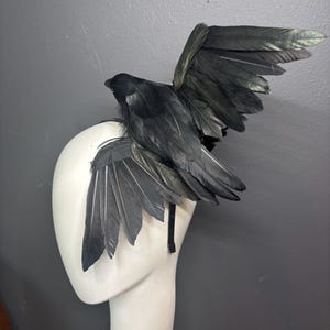 May include: A black feathered bird headpiece featuring a raven-like figure with outstretched wings attached to a thin headband. The plumage is dark and layered, creating a realistic wing span effect that extends upward and outward from the base.