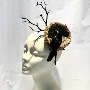 May include: A black crow perched in a brown woven bird's nest, with black branches extending out from the nest. The nest is attached to a black headband.