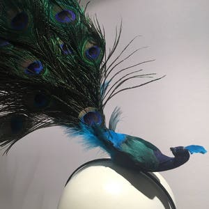 May include: A peacock feather headband with a blue and green peacock feather design. The headband is black and is on a white mannequin head.
