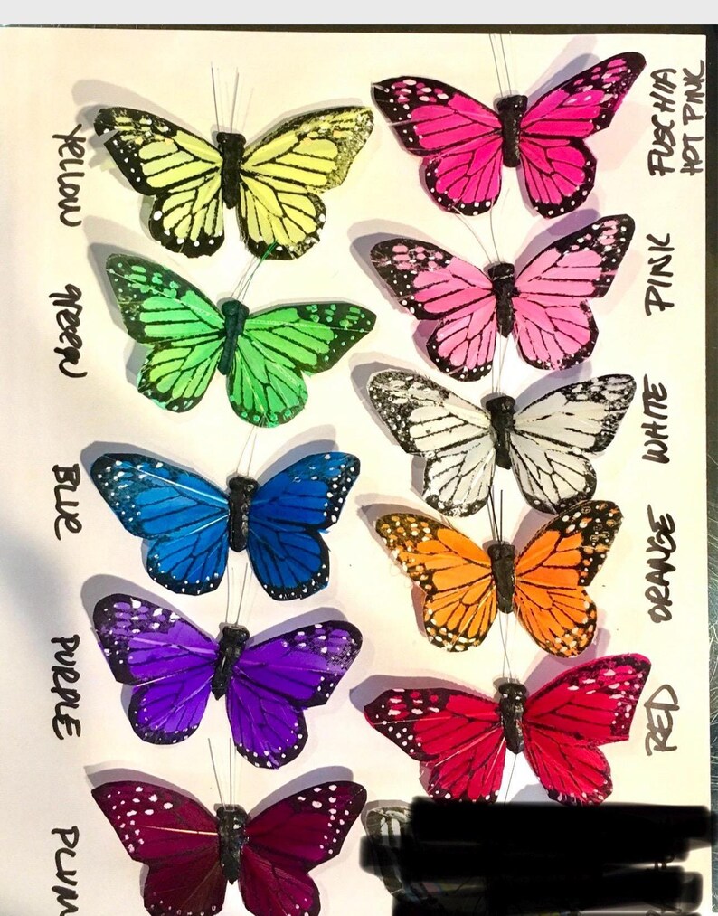 Puede incluir: Colecci&oacute;n de decoraciones de mariposas coloridas en varios tonos, incluyendo amarillo, verde, azul, morado, ciruela, rosa, blanco, naranja y rojo. Cada mariposa tiene un cuerpo negro y alas delicadas, ideal para manualidades o decoraci&oacute;n.