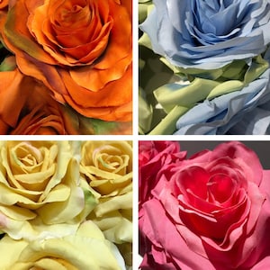 May include: A collage of four artificial rose arrangements featuring distinct color palettes. The top left shows deep orange roses, the top right displays light blue roses with green leaves, the bottom left features pale yellow roses, and the bottom right shows vibrant pink roses.