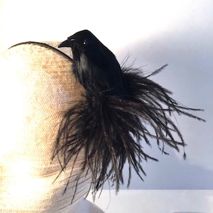 Black Fascinators- Crow- Raven Bird Headband- Bird lover