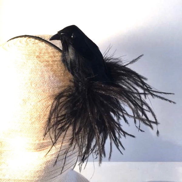 Black Fascinators- Crow- Raven Bird Headband- Bird lover