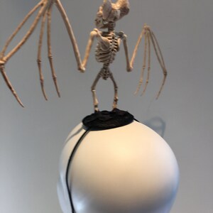 May include: A Halloween-themed headpiece featuring a skeletal bat perched atop a white, rounded form. The bat has outstretched wings and a detailed bone structure. A black, circular accent sits beneath the bat, with a thin black band extending down the sides.