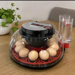 May include: A round, clear plastic egg incubator with a black top control panel featuring a digital display and buttons. Inside, a red circular tray holds several light brown eggs. A clear water bottle is attached to the side of the device.