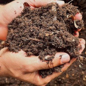 May include: A mound of dark brown organic compost consisting of finely textured soil, small wood chips, and decomposed plant matter. The material appears moist and crumbly, showing a rich, earthy composition with varied organic particles.