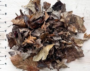 Leaf Litter Mix, Hardwood Leaves, Acorn Caps and Twigs, Isopod Millipede and Hermit Crab Food