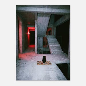 Könnte beinhalten: Eine schwarze Katze sitzt auf einer rechteckigen Willkommensmatte in der Mitte eines unfertigen Betongebäudes. Der Innenraum zeigt freiliegende graue Betonwände, eine Treppe und einen dunklen Flur, der von einer hellroten Lichtquelle beleuchtet wird.
