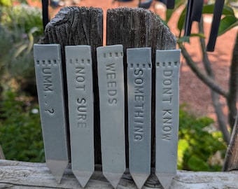 Divertenti segnapiante in ceramica/ Regalo per amanti delle piante/ Etichette per piante irriverenti/ Segnapiante da giardino in ceramica/ Accessori per piante da interno