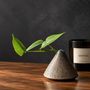 May include: A cone-shaped stone vase with a textured, mottled brown and gray surface holds a small green plant with three leaves. Next to the vase sits a dark brown glass candle jar with a white label that reads SANTAL and SCENTED CANDLE.