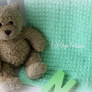 May include: A light green crocheted blanket with a textured pattern, a brown plush teddy bear with dark eyes and a dark nose, and a solid light green wooden letter N. The text (c) Olga Poltava is visible on the surface of the green blanket.