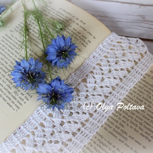 Puede incluir: Un libro vintage con un marcapáginas de encaje blanco tejido a crochet. Tres flores azules se colocan en las páginas abiertas del libro. El libro descansa sobre una superficie de madera blanca. El texto en la página dice "...y no sabía..."