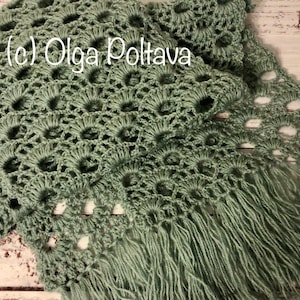 May include: A green crocheted scarf with a fringe. The scarf has a delicate openwork pattern.